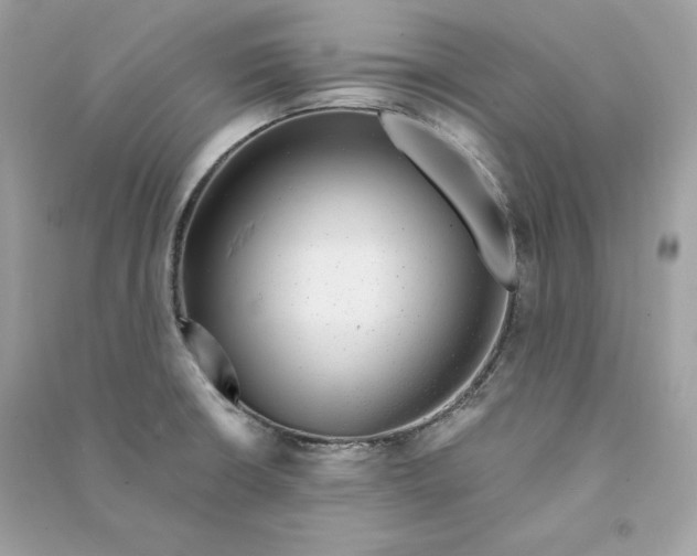 X0000090781426200708101822