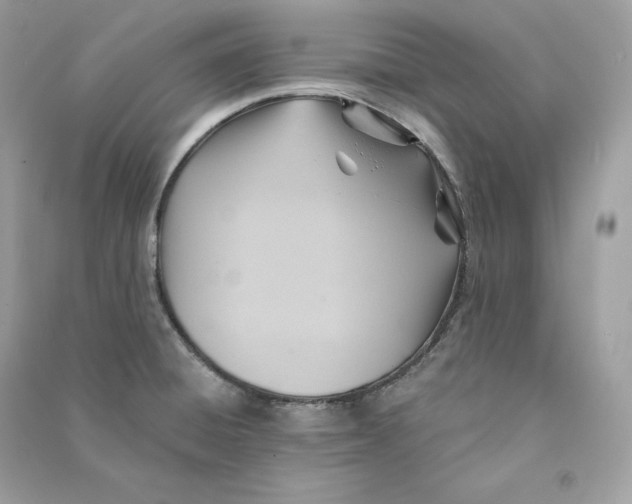 X0000090781428200708101822