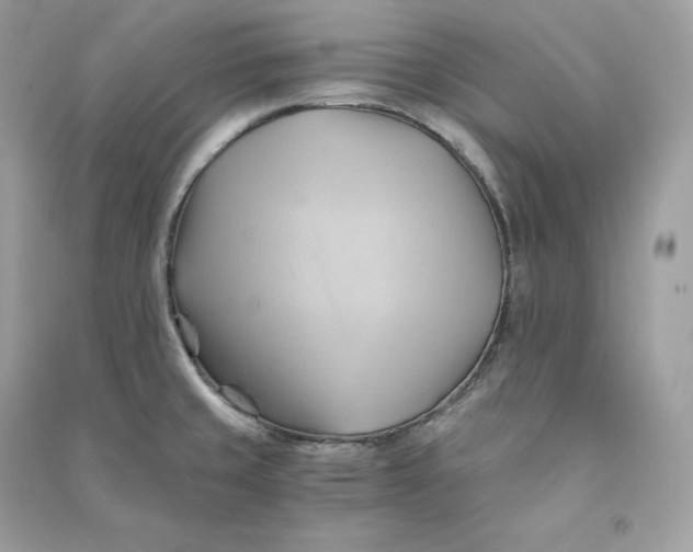 X0000090781429200708101822