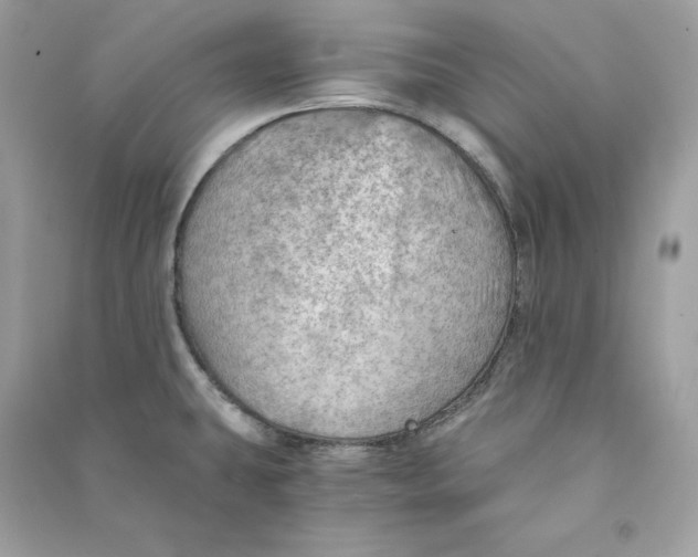 X0000090781431200708101822