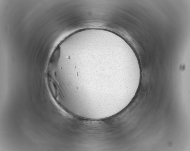 X0000090781432200708101822