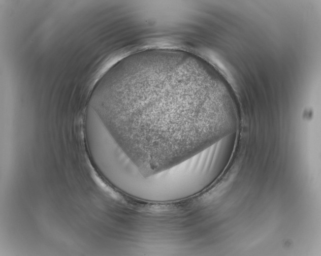 X0000090781433200708101822