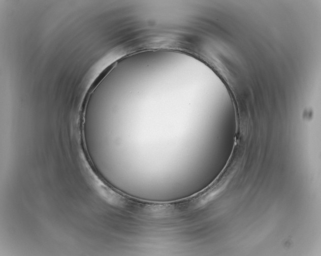 X0000090781434200708101822