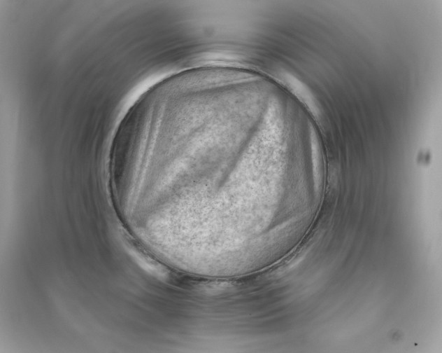 X0000090781435200708101822