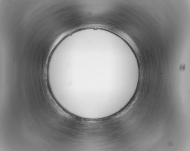 X0000090781436200708101822