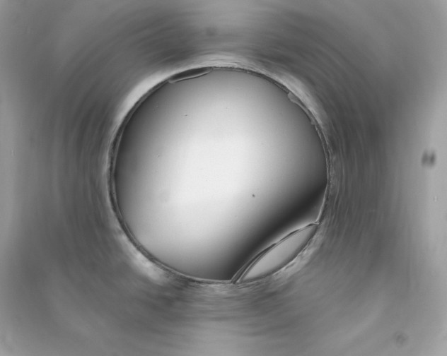 X0000090781438200708101822