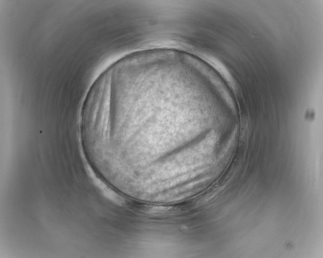 X0000090781439200708101822