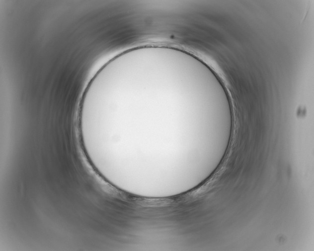 X0000090781440200708101822
