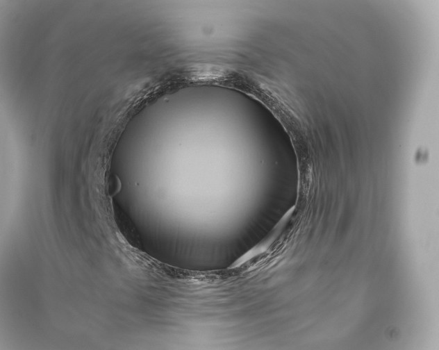 X0000090781441200708101821