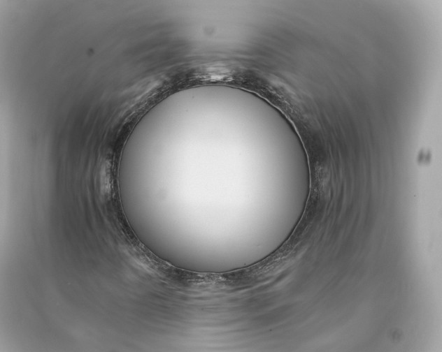 X0000090781442200708101821