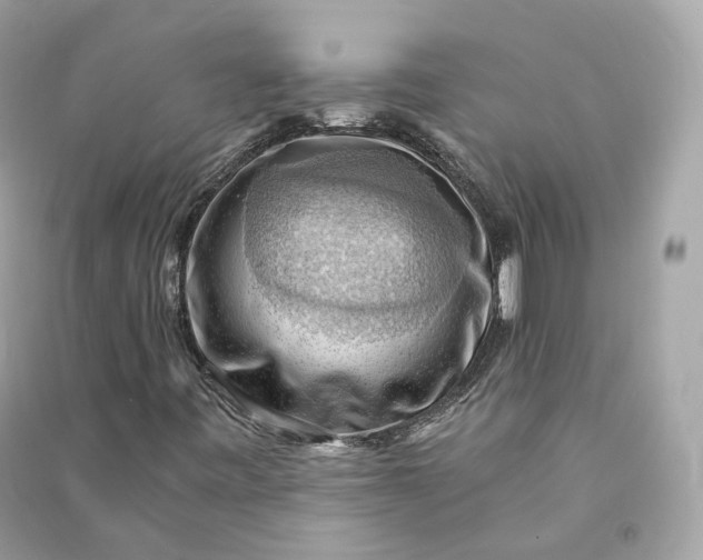 X0000090781443200708101821