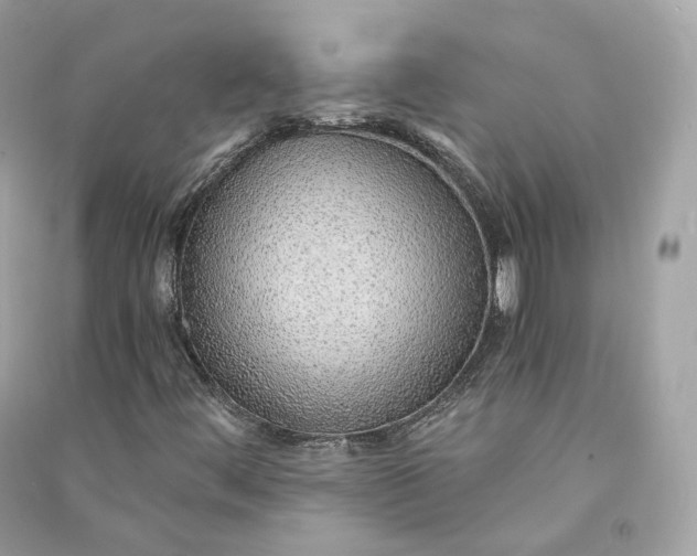 X0000090781444200708101821