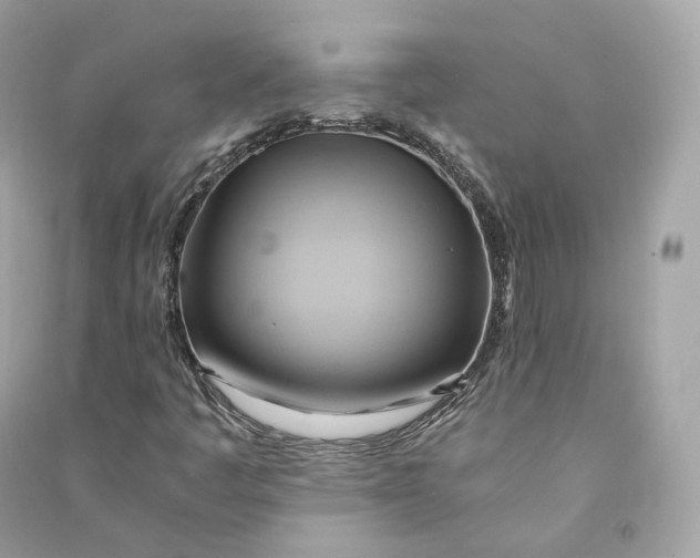 X0000090781445200708101821