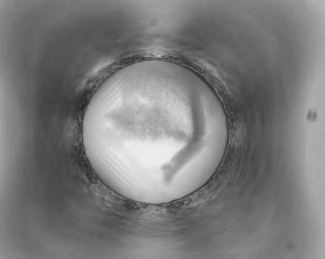 X0000090781446200708101821