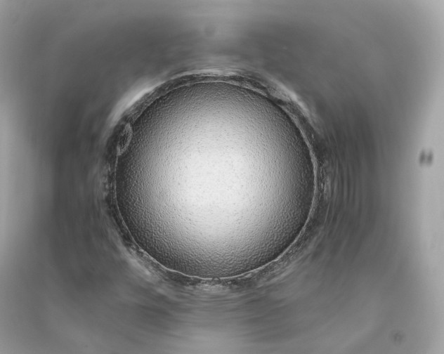 X0000090781448200708101821