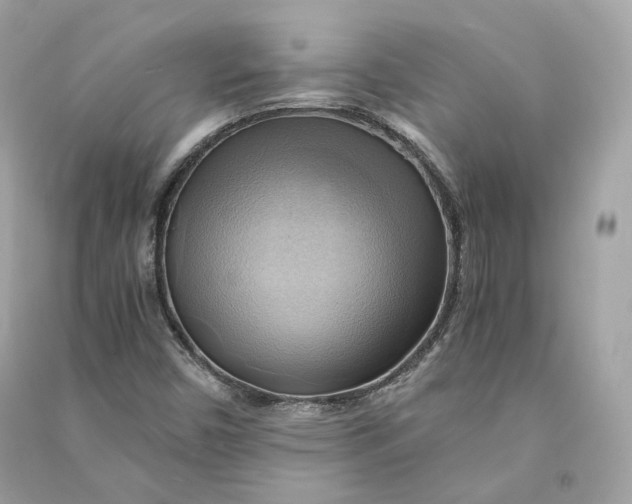 X0000090781450200708101821