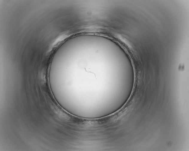 X0000090781451200708101821