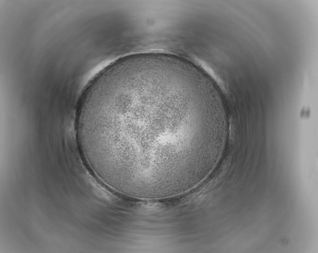 X0000090781452200708101821