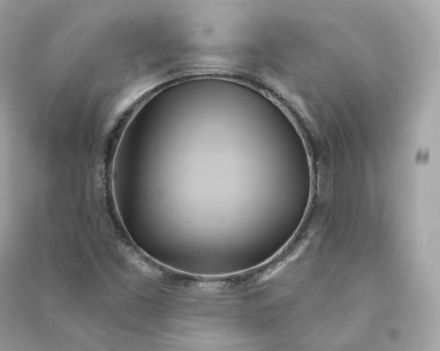 X0000090781453200708101821