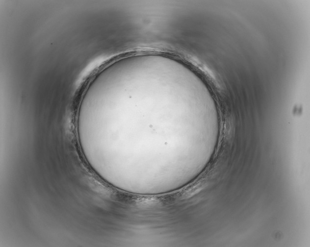 X0000090781454200708101821