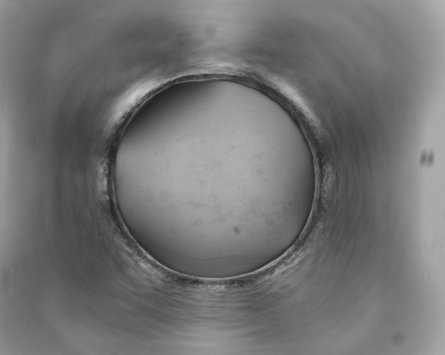 X0000090781455200708101821