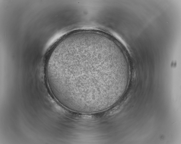 X0000090781456200708101821