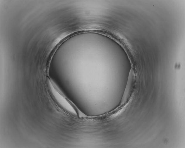 X0000090781457200708101821