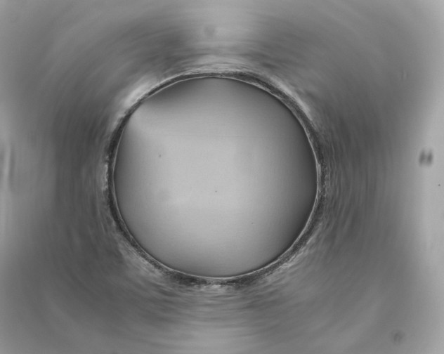 X0000090781459200708101821