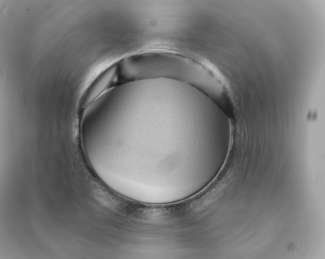 X0000090781461200708101821