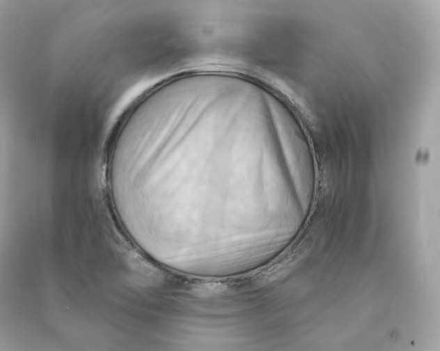 X0000090781462200708101821