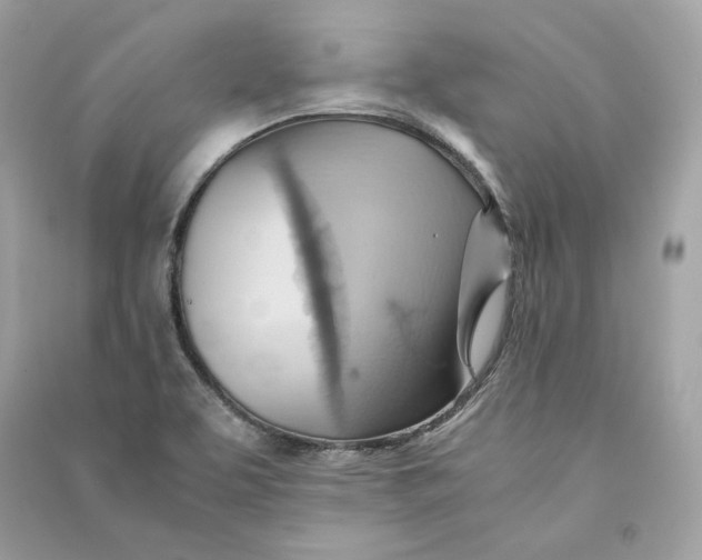 X0000090781463200708101821