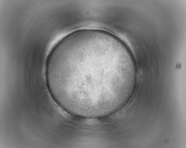 X0000090781464200708101821