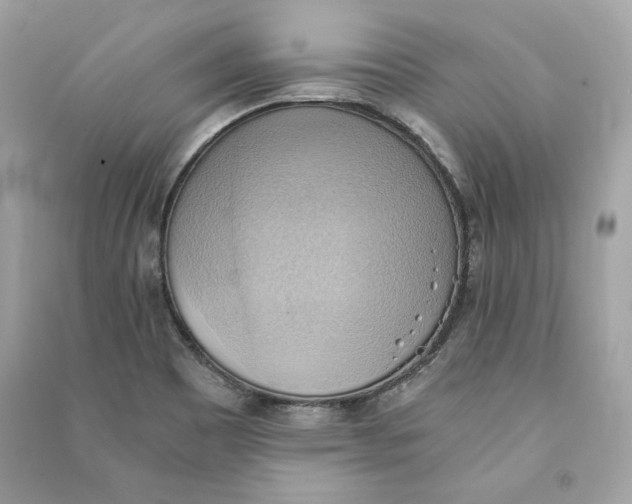 X0000090781465200708101821