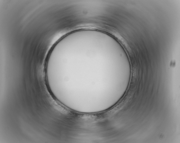 X0000090781466200708101821