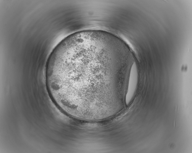 X0000090781468200708101821