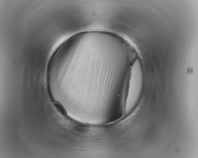 X0000090781469200708101821