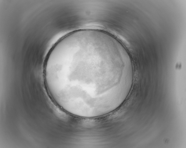 X0000090781470200708101821