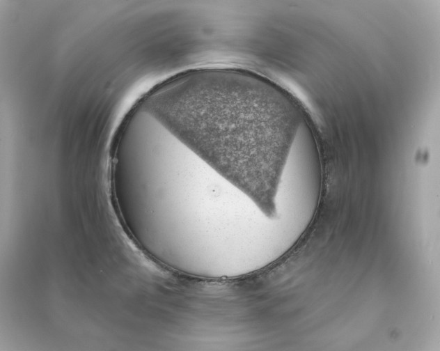 X0000090781472200708101821