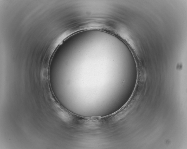 X0000090781473200708101821