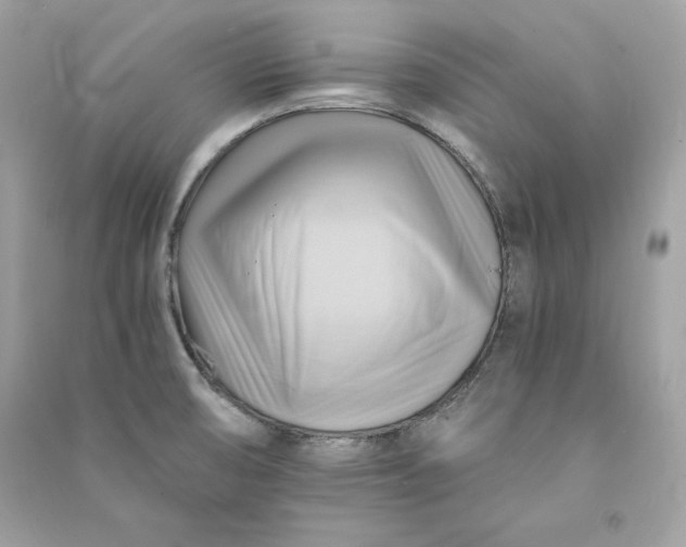 X0000090781474200708101821