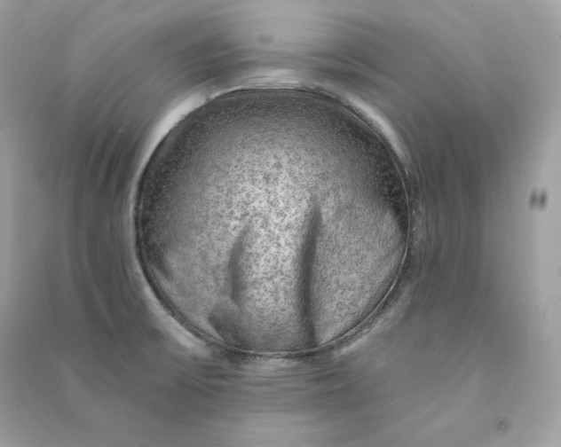 X0000090781475200708101821