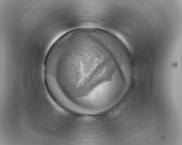 X0000090781476200708101821
