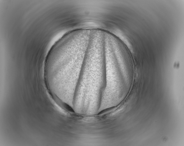 X0000090781477200708101821