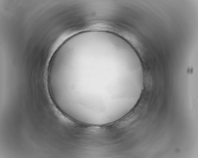 X0000090781478200708101821