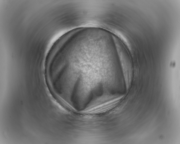 X0000090781480200708101821