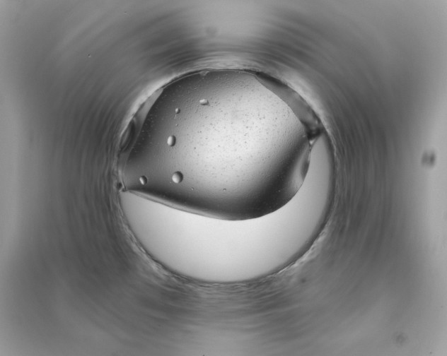 X0000090781481200708101821
