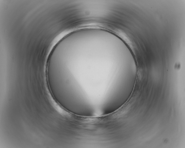 X0000090781482200708101821