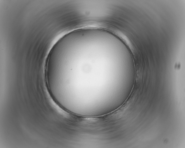 X0000090781483200708101821