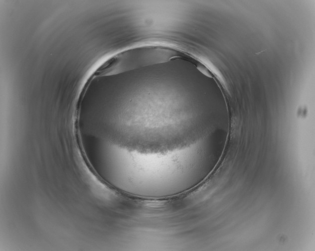 X0000090781484200708101821