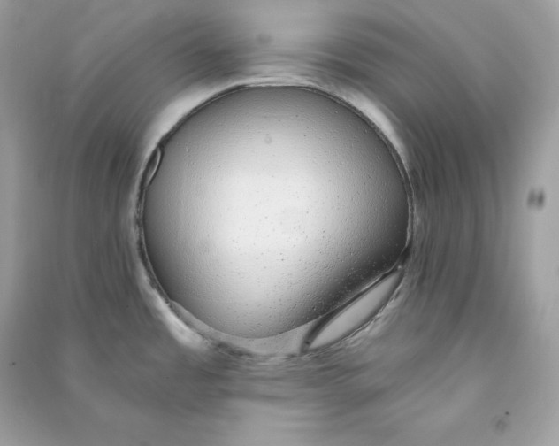 X0000090781485200708101821